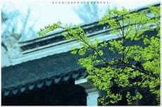 一筹莫展的解释,答[拼音]!一筹莫展的解释  yì chóu mò zhǎn [解
